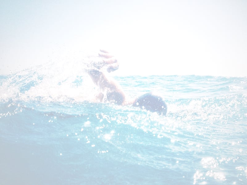 swim oresund register