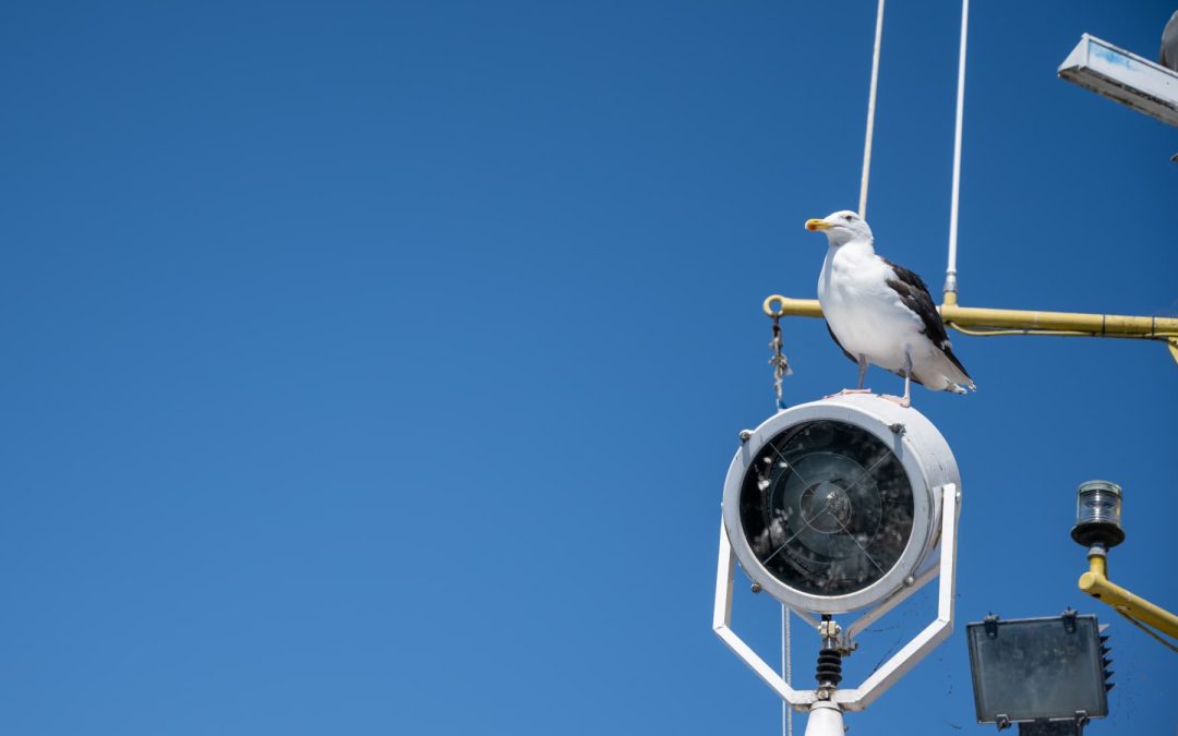 swimoresund information