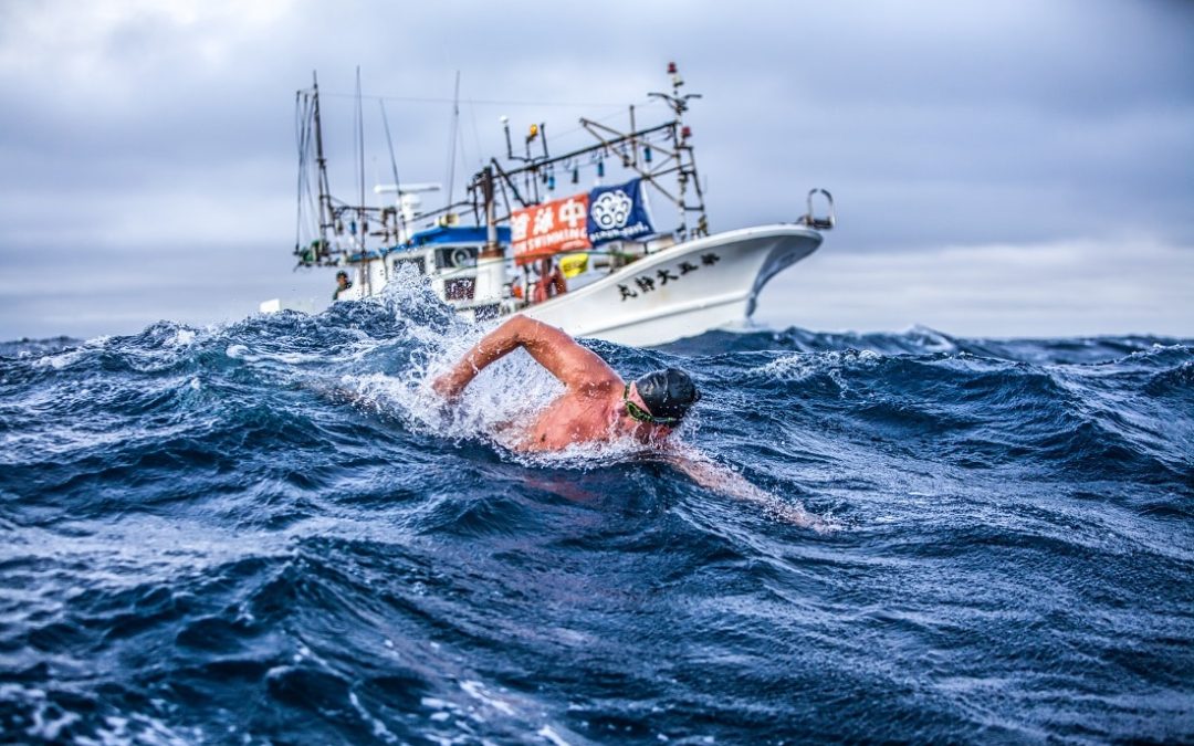 swimoresund andre wersig coach ocean seven