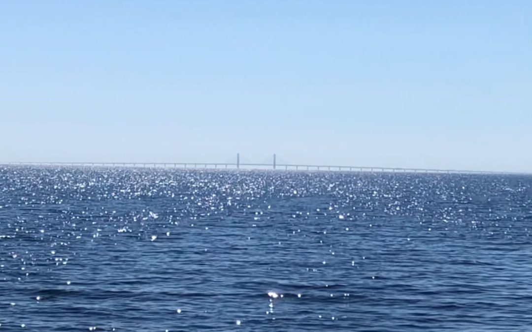 swimoresund-oresunds-broen