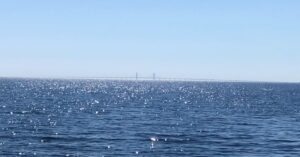 swimoresund-oresunds-broen