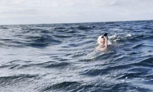 anke tinnedel feeding