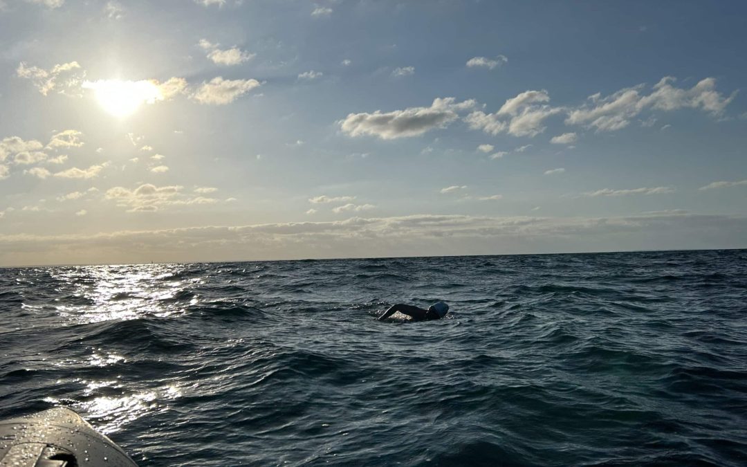 anke tinnefeld evening crossing