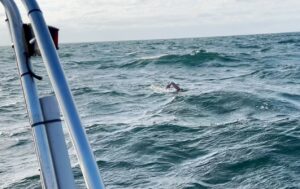 anke tinnefeld windy waves