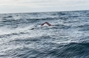 windy waves anke tinnefeeld