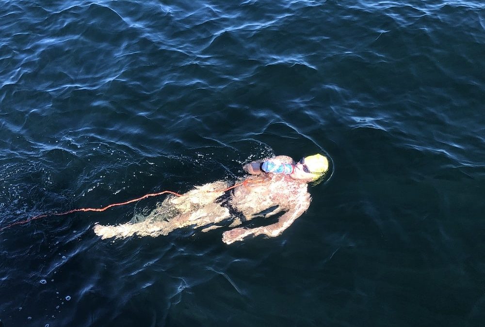 feeding jorg schleibaum