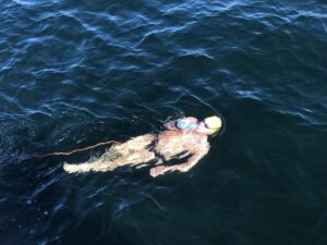 feeding jorg schleibaum