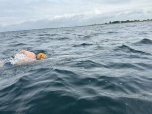 james kahn swedish shore