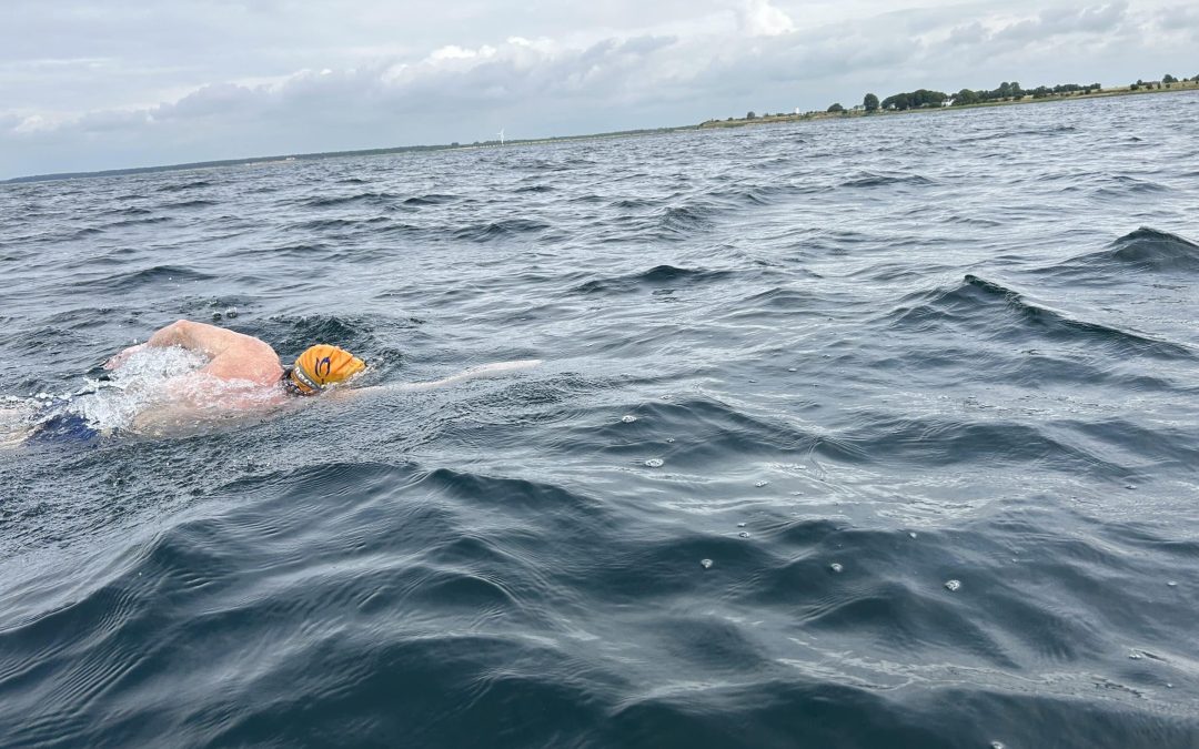 james kahn swedish shore