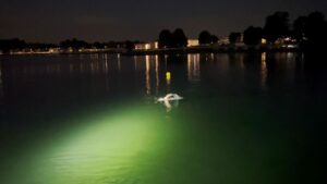 kathleen wilson bellevue beach