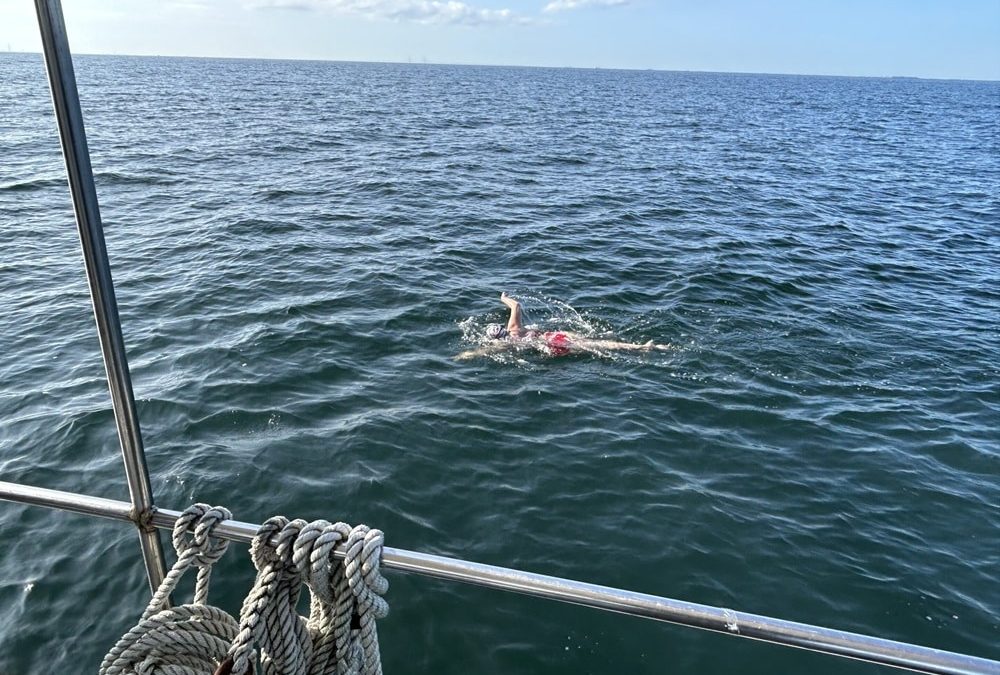 kathleen wilson oresund swim