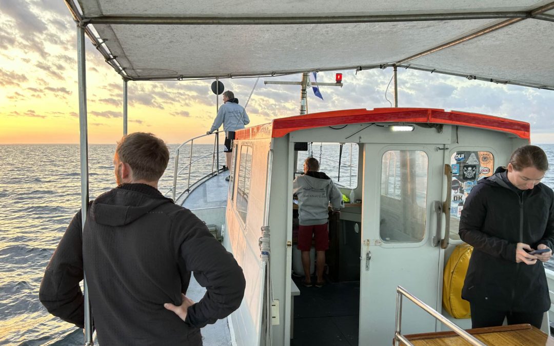 kathleen wilson sunrise