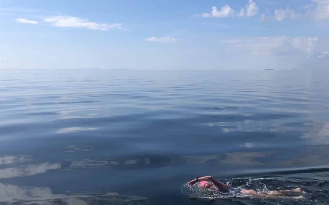 mariel hawley swimoresund oresund bridge