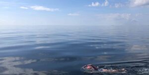 mariel hawley swimoresund oresund bridge