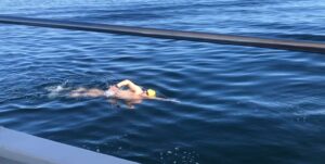 smooth water oresund jorg schleibaum