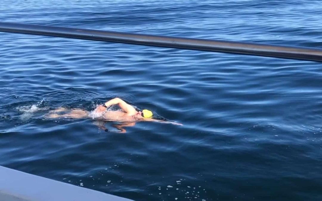 smooth water oresund jorg schleibaum