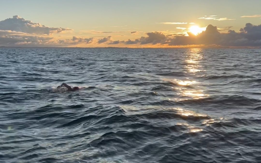 stefanie kohl sunrise