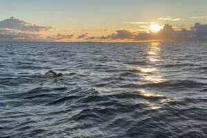 stefanie kohl sunrise