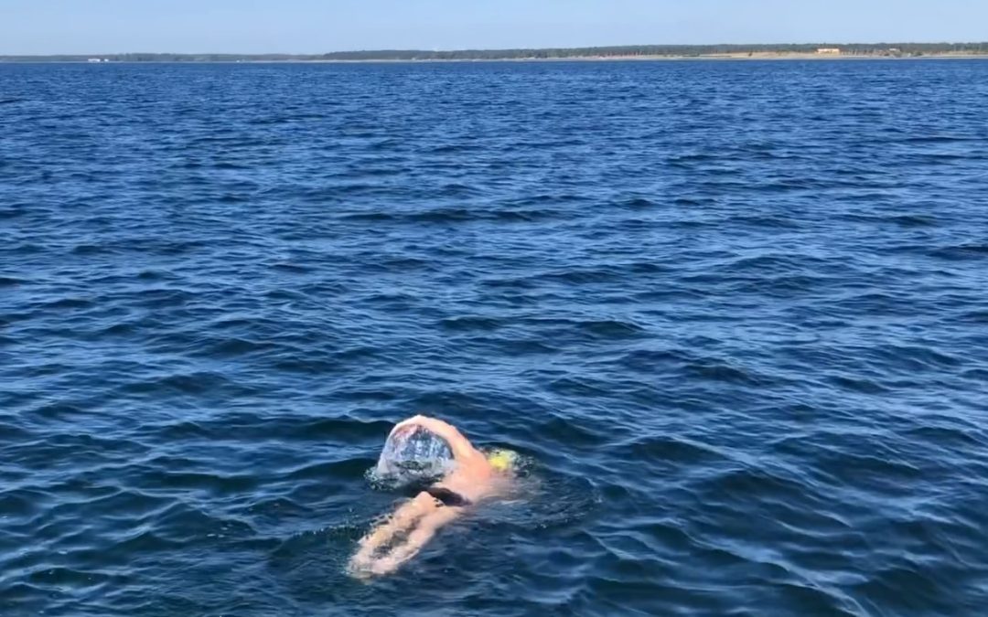 swedish coast jorg schleibaum