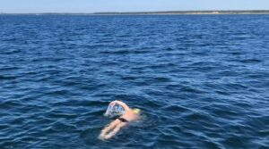 swedish coast jorg schleibaum