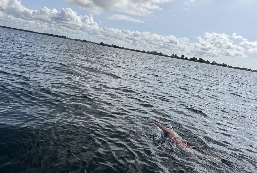 swedish shore kathleen wilson