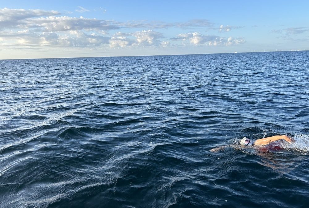 swim oresund kathleen wilson