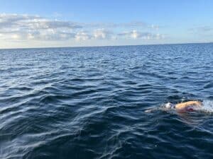 swim oresund kathleen wilson