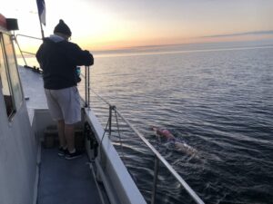 swimoresund feeding mariel hawley