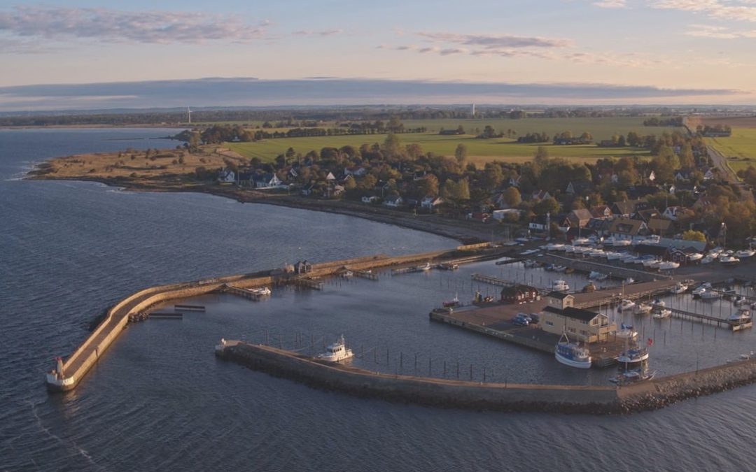barsebäck hamn swim finish swimoresund