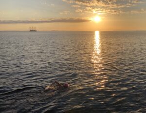 sunset over oresund swimmer