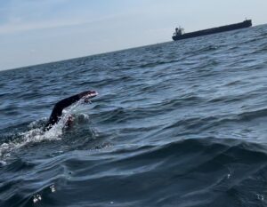 ship swimoresund relay jennifer clifford