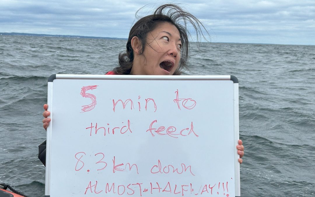 support amy miao helps edie hu swimoresund