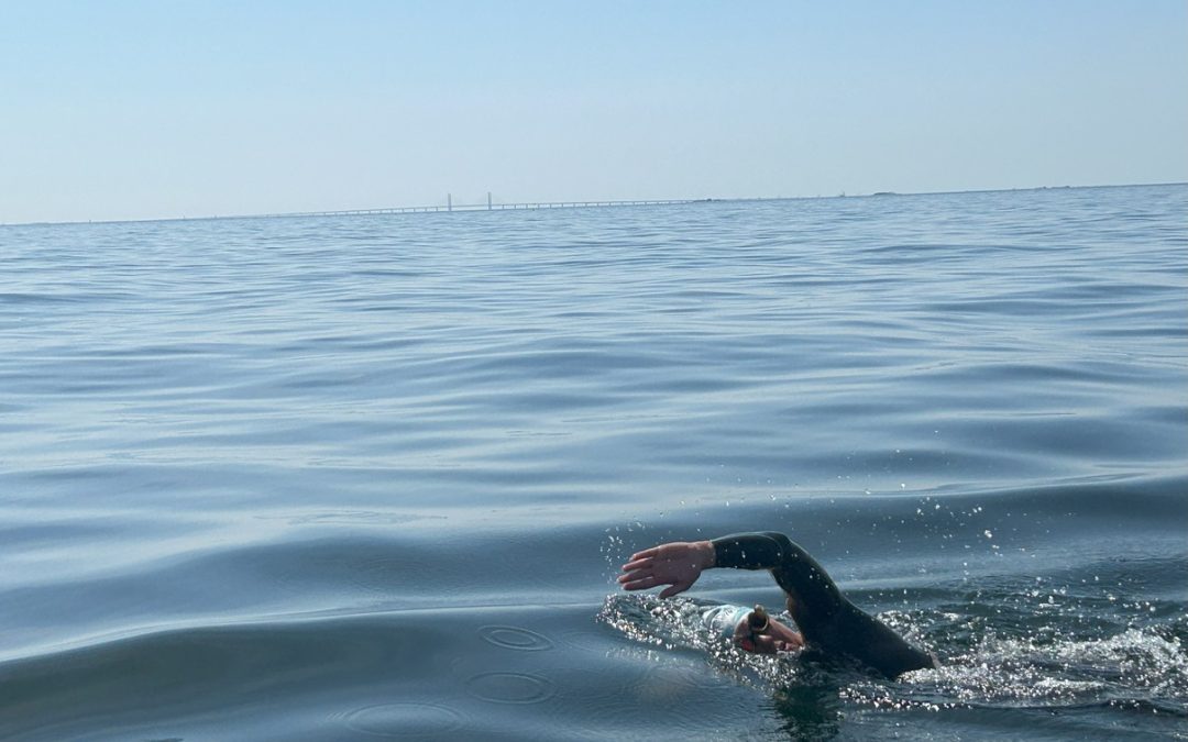 swimoresund relay alison summerfield