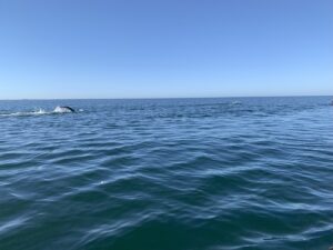 sisk group team 1 matthew everett