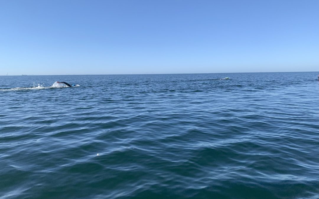 sisk group team 1 matthew everett