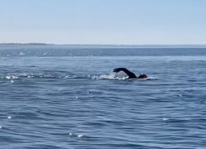 sisk group team 1 øresund swim