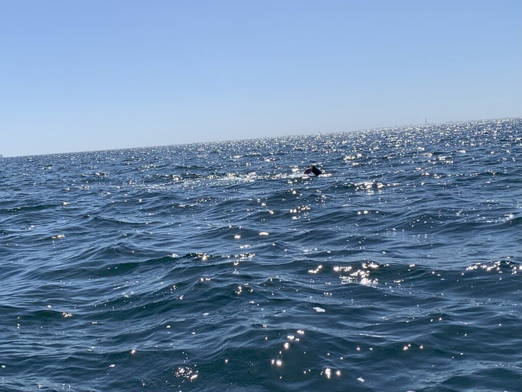 sisk group team 1 rough sea