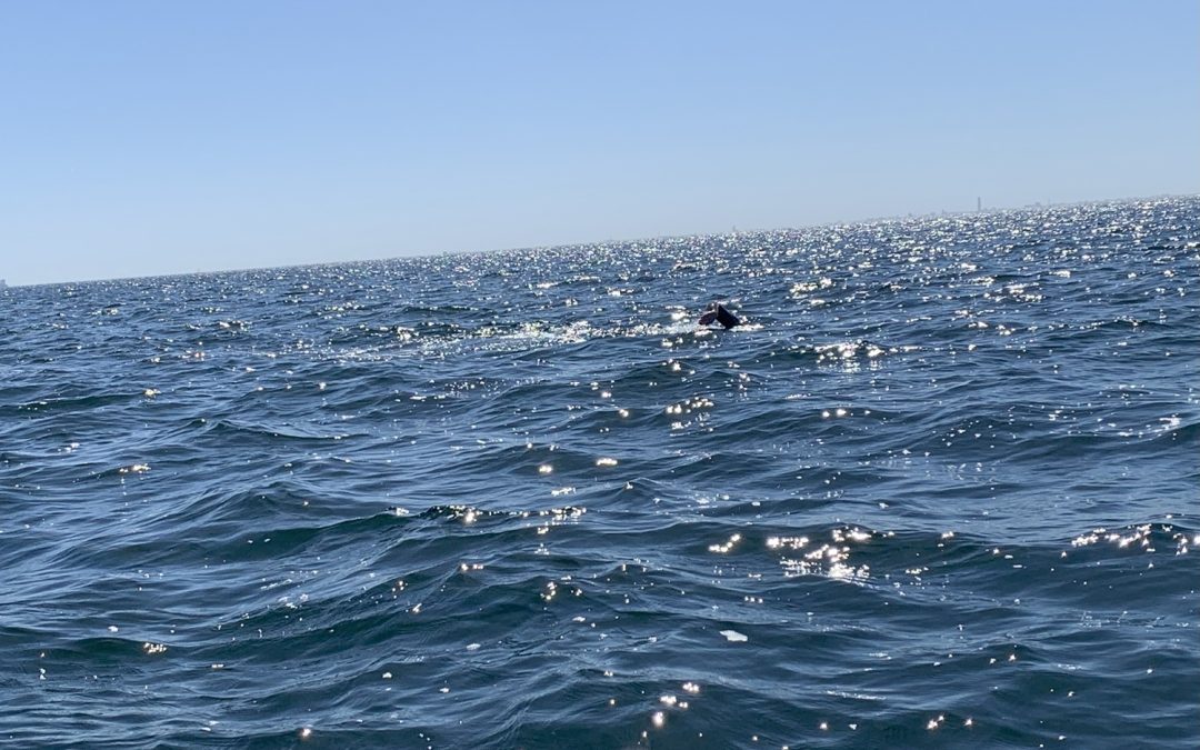 sisk group team 1 rough sea