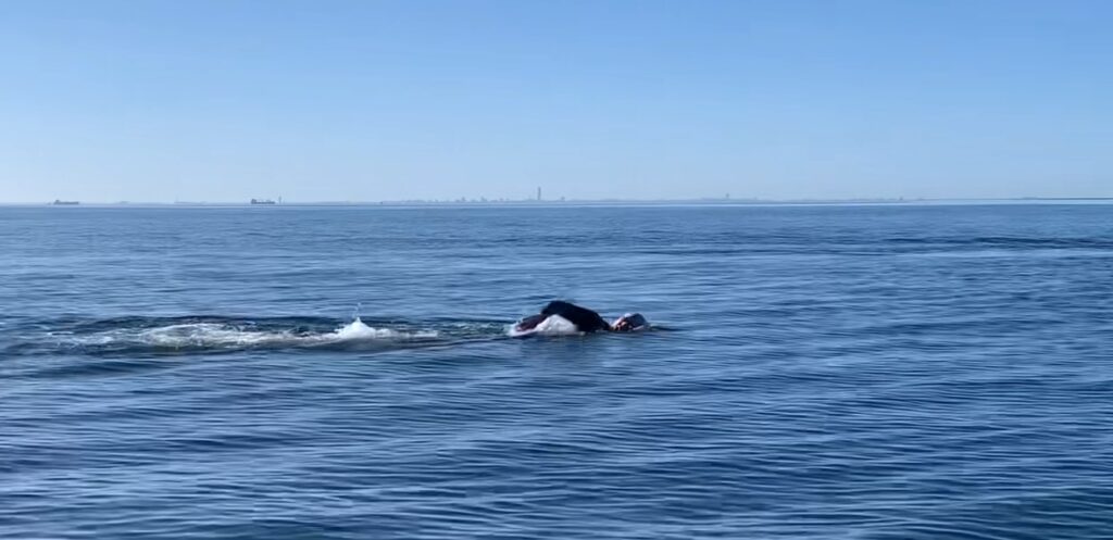 sisk group team 1 ships