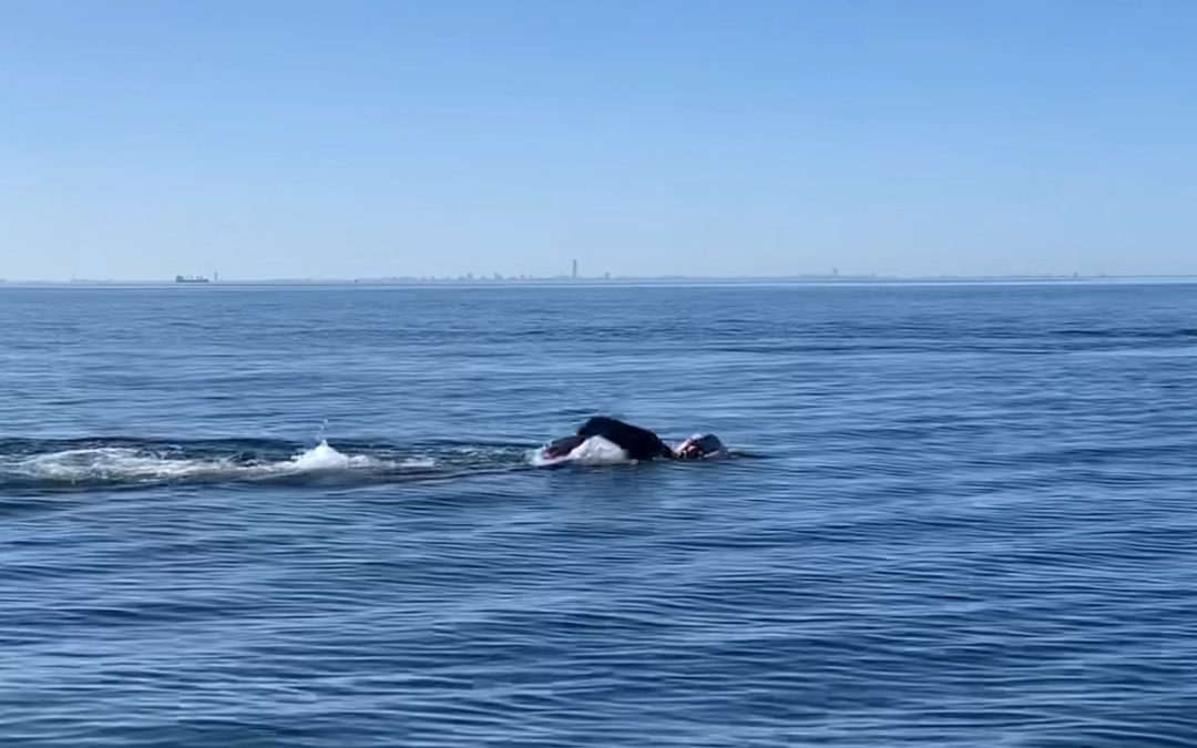 sisk group team 1 ships