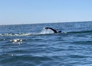 sisk group team 1 swim oresund