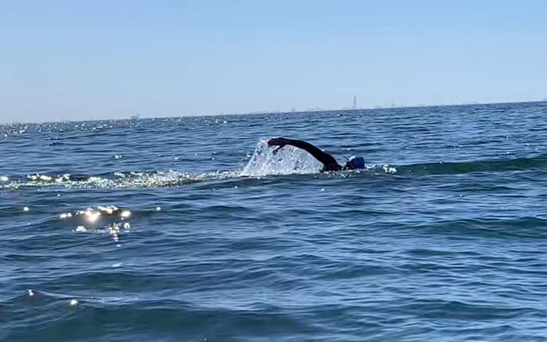 sisk group team 1 swim oresund