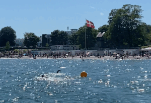 sisk group team 2 bellevue strand