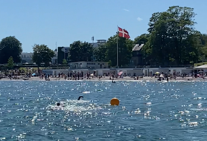 sisk group team 2 bellevue strand