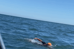 sisk group team 2 crossing oresund