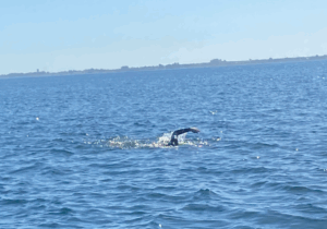 sisk group team 2 danish shore