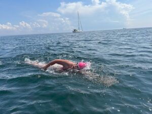 wen erh hso crossing oresund