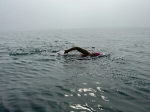 wen erh hso fog over oresund