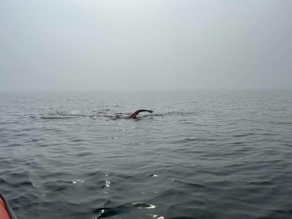 wen erh hso foggy oresund