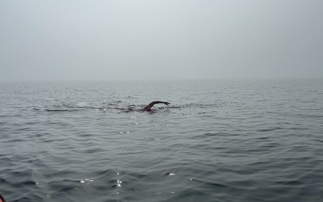 wen erh hso foggy oresund